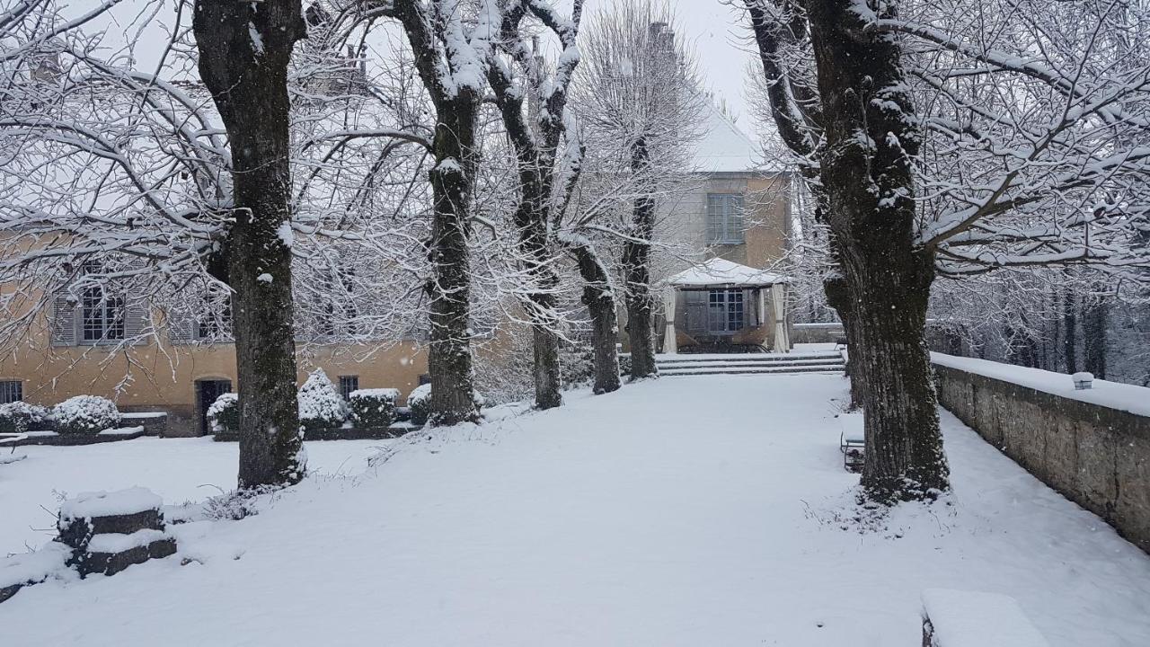 Bed and Breakfast Chateau De Mauvilly Exterior foto